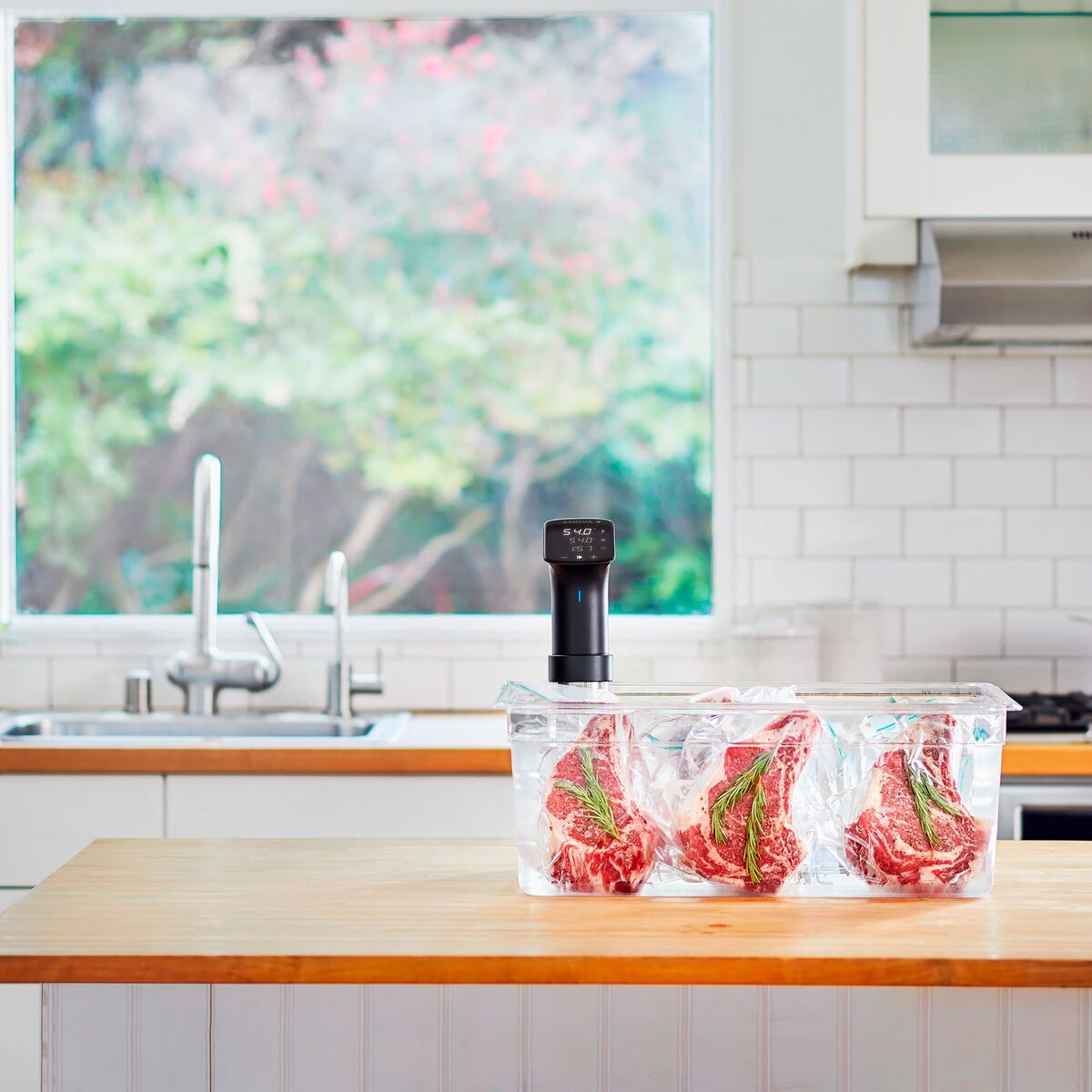 Precision Cooker Pro Sous Vide