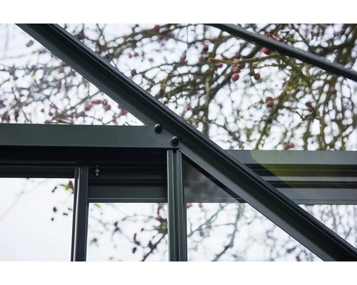 Greenhouse Halls Garden Room, veiligheidsglas 3 mm, 389 x 391 cm, zwart