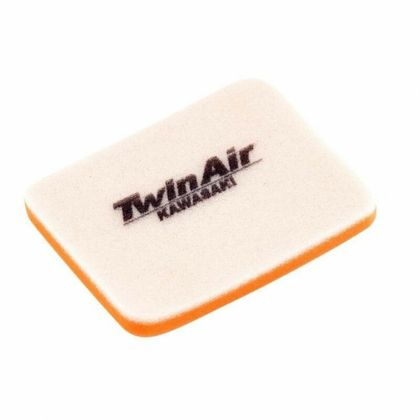 Filtre à air Twin air 151600