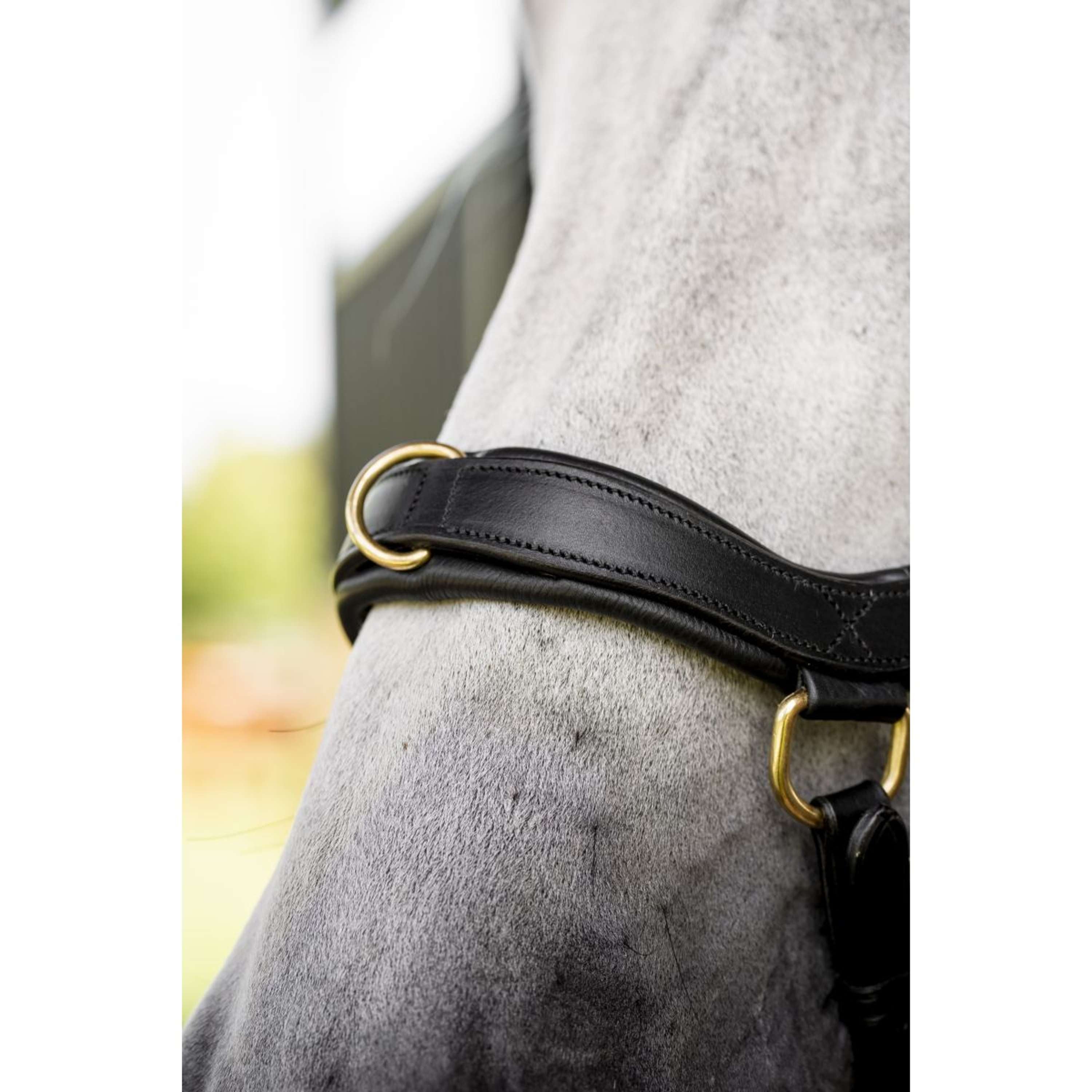 Horseware Micklem Multi Bridle Zwart