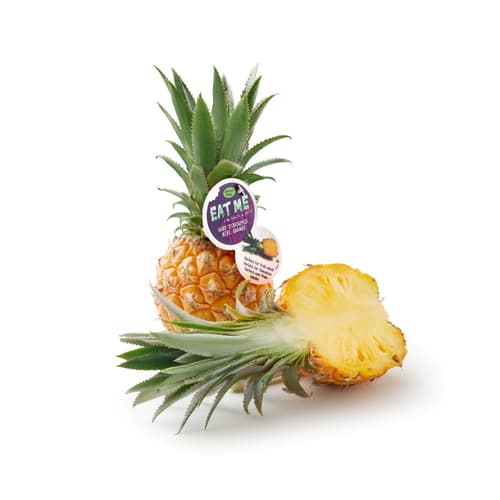 Baby Ananas, 1 Stk.