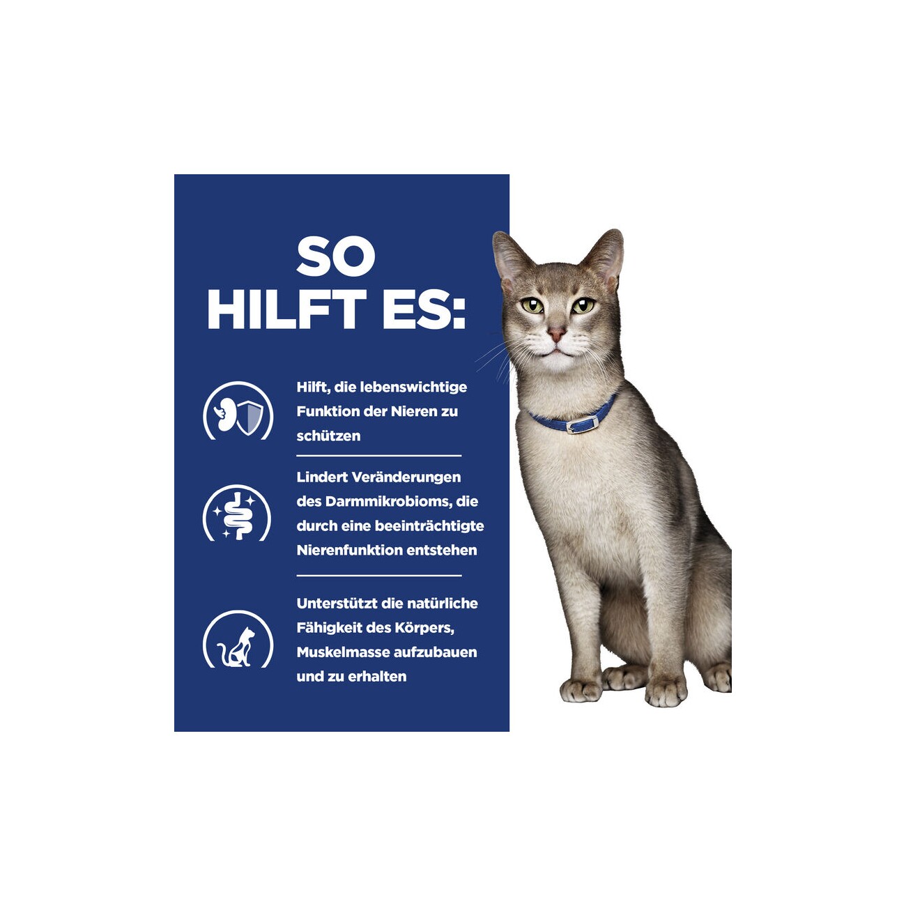 Hill's Prescription Diet k/d Kidney Care 1,5 kg