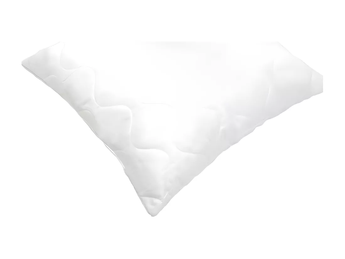 ABEIL Lot de 2 Oreillers a memoire de forme matelasses 60x60 cm blanc