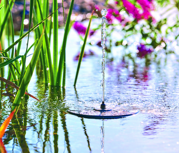 Pontec Wasserspielpumpe PondoSolar LED Island