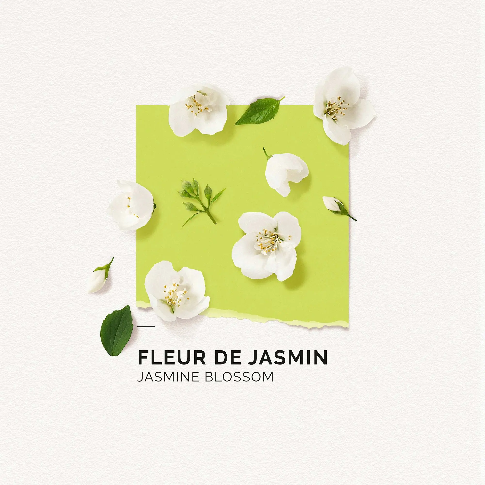 Solinotes - FLEUR DE JASMIN Brume Parfumée Brume parfumée- Brume parfumée