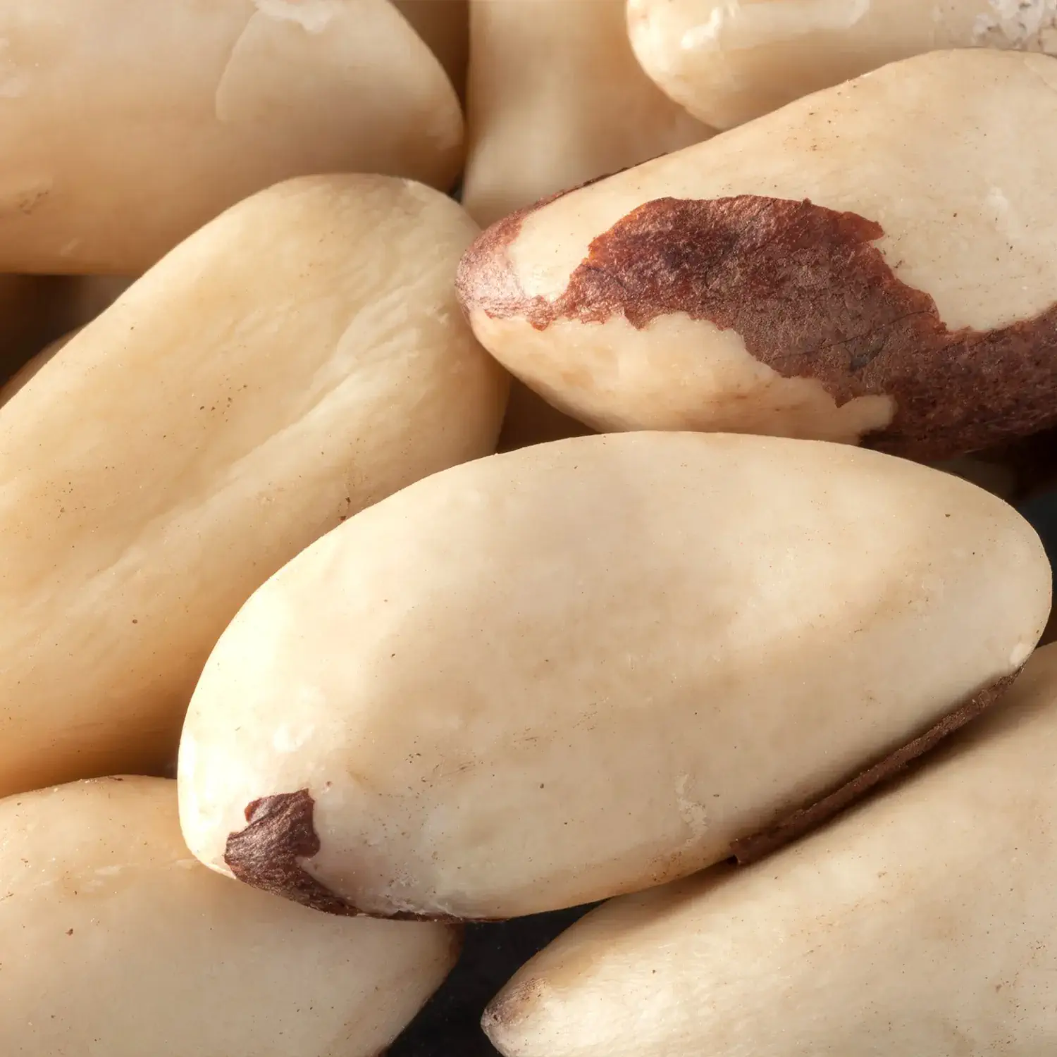 Paranüsse BIO