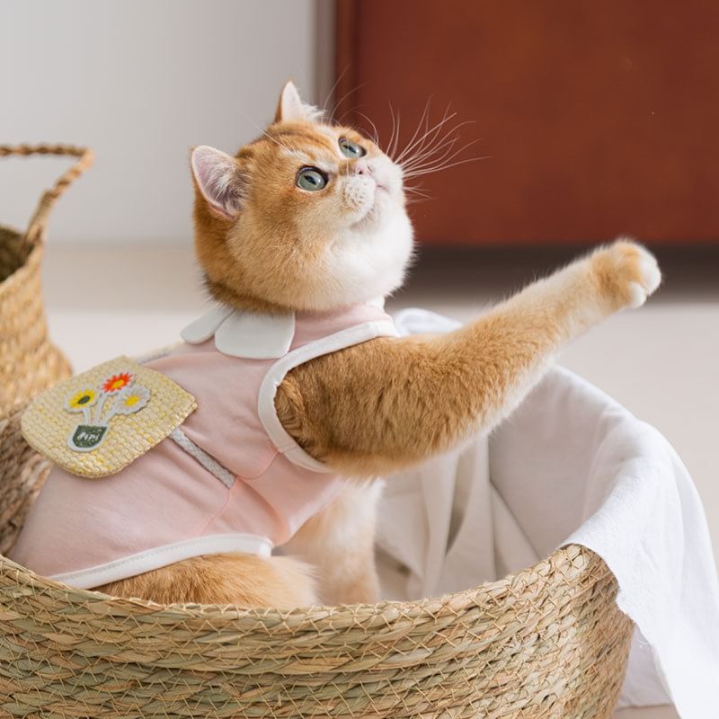 Cissilli - Bloemen Pet Top (Diverse ontwerpen)