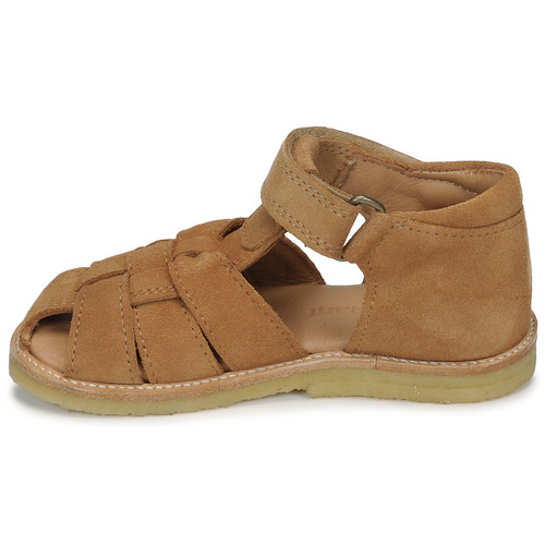 Bisgaard - AMI - Camel
