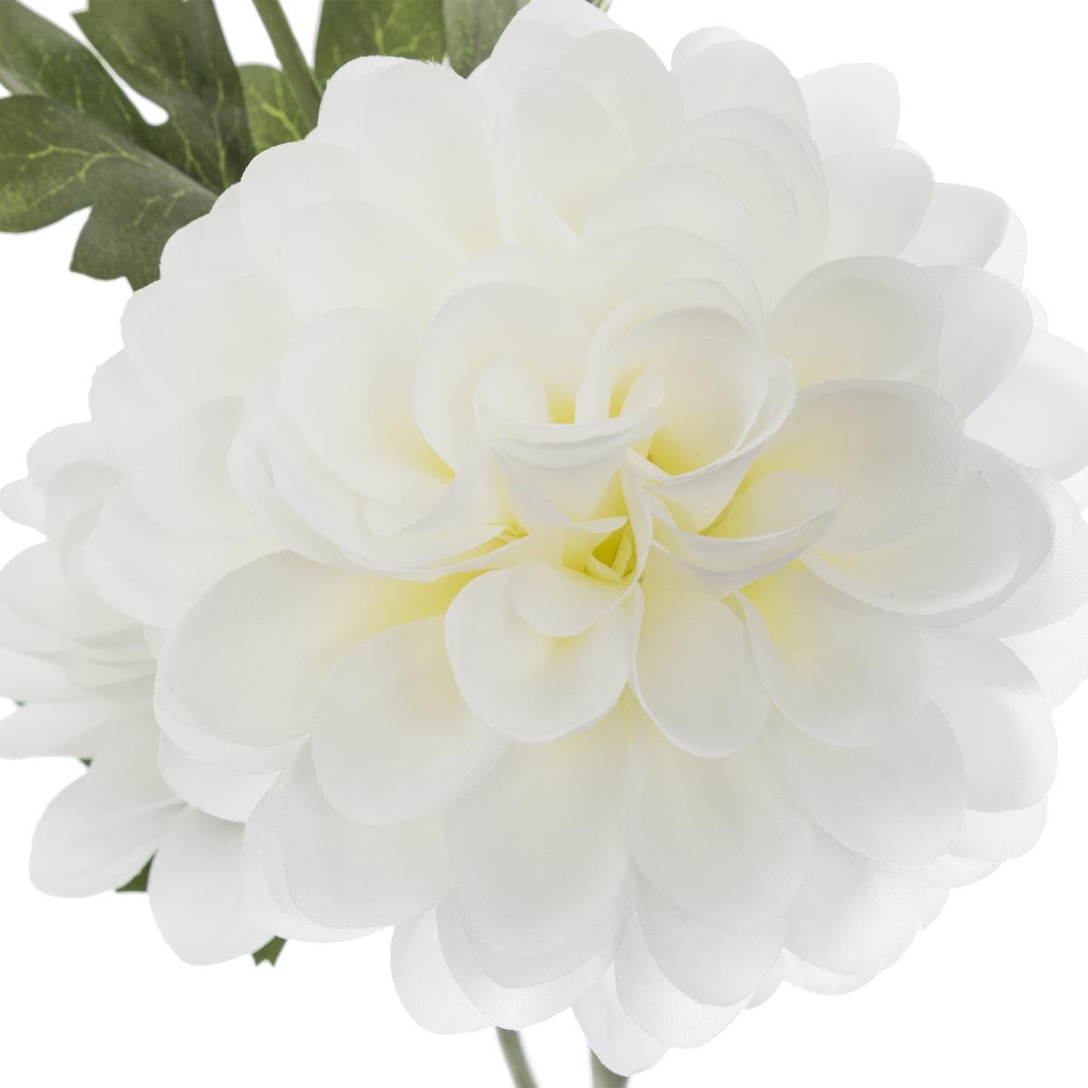 TIGE DAHLIA ILYS BLANC H.62CM