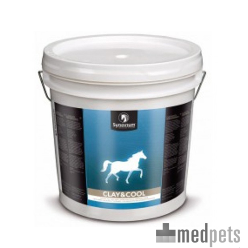 Synovium Clay & Cool