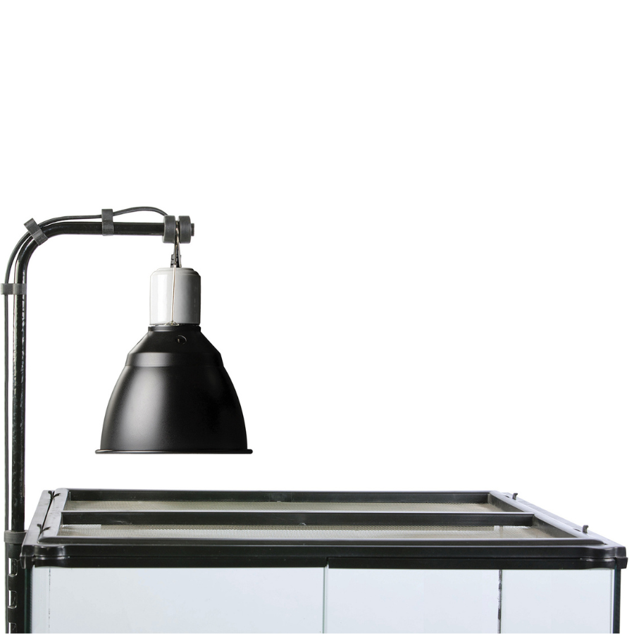Suporte de lâmpada Exoterra Light Dome para répteis