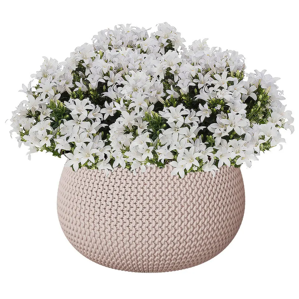 Prosperplast plantenpot - kunststof - taupe - D30 x H22 cm