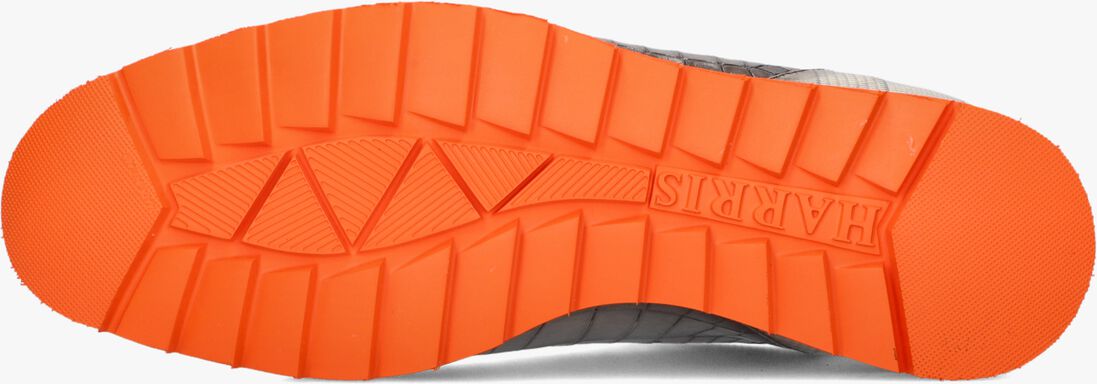 grijze harris lage sneakers 2817