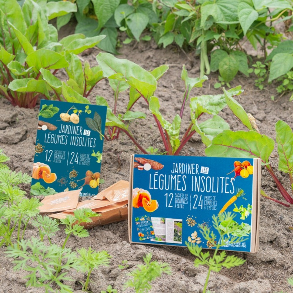 Coffret de graines insolites à semer (12 variétés)