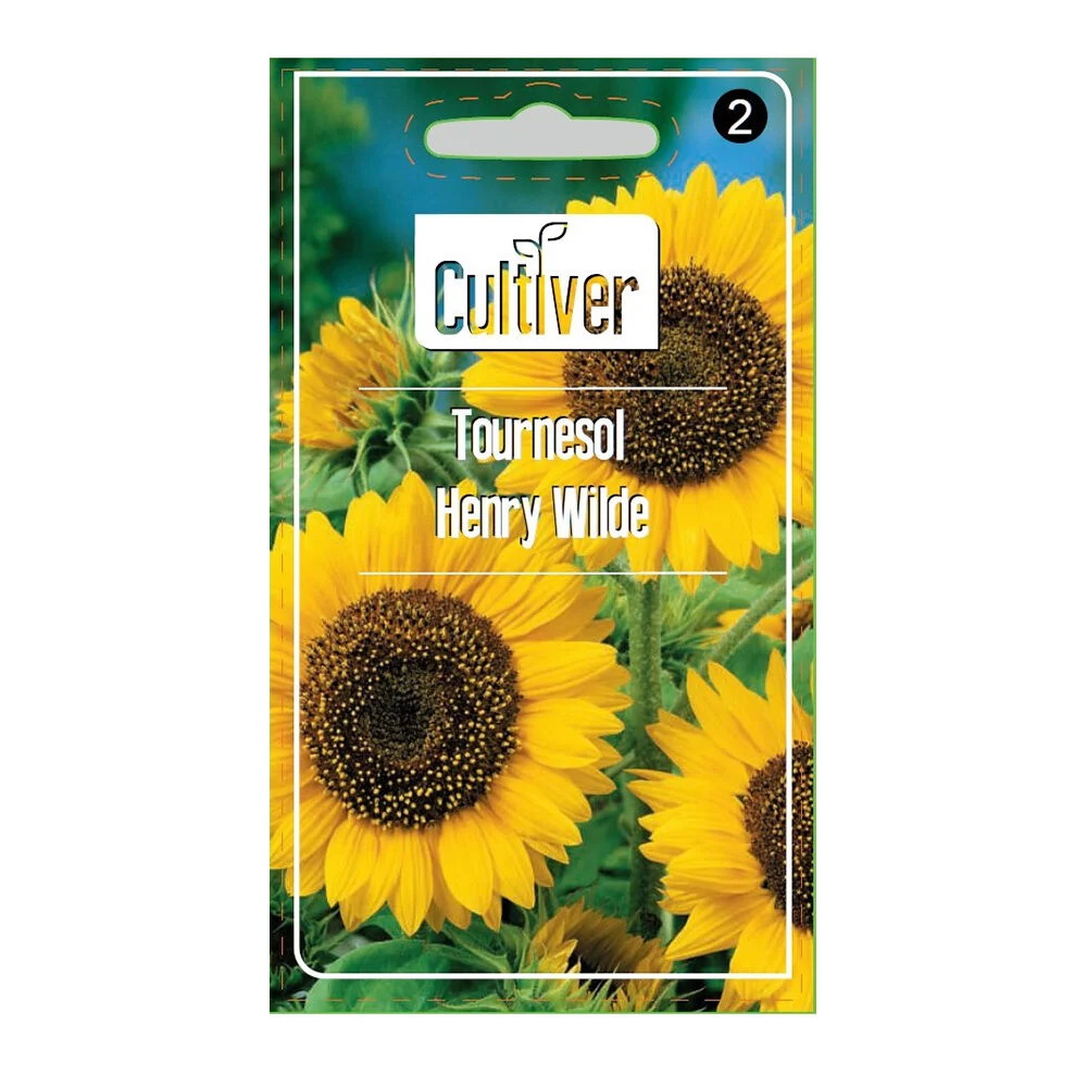Semences de tournesol Henry Wild