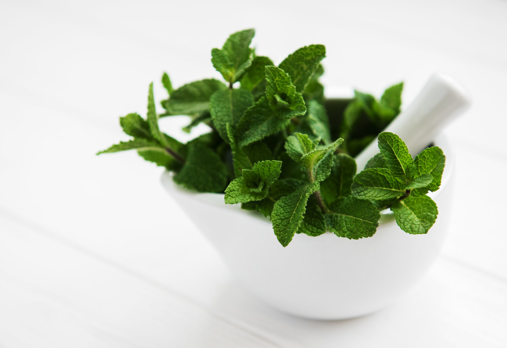 Sachet de graines de menthe verte vraie - sachet de 0,3 grammes - petite entreprise française - made in france