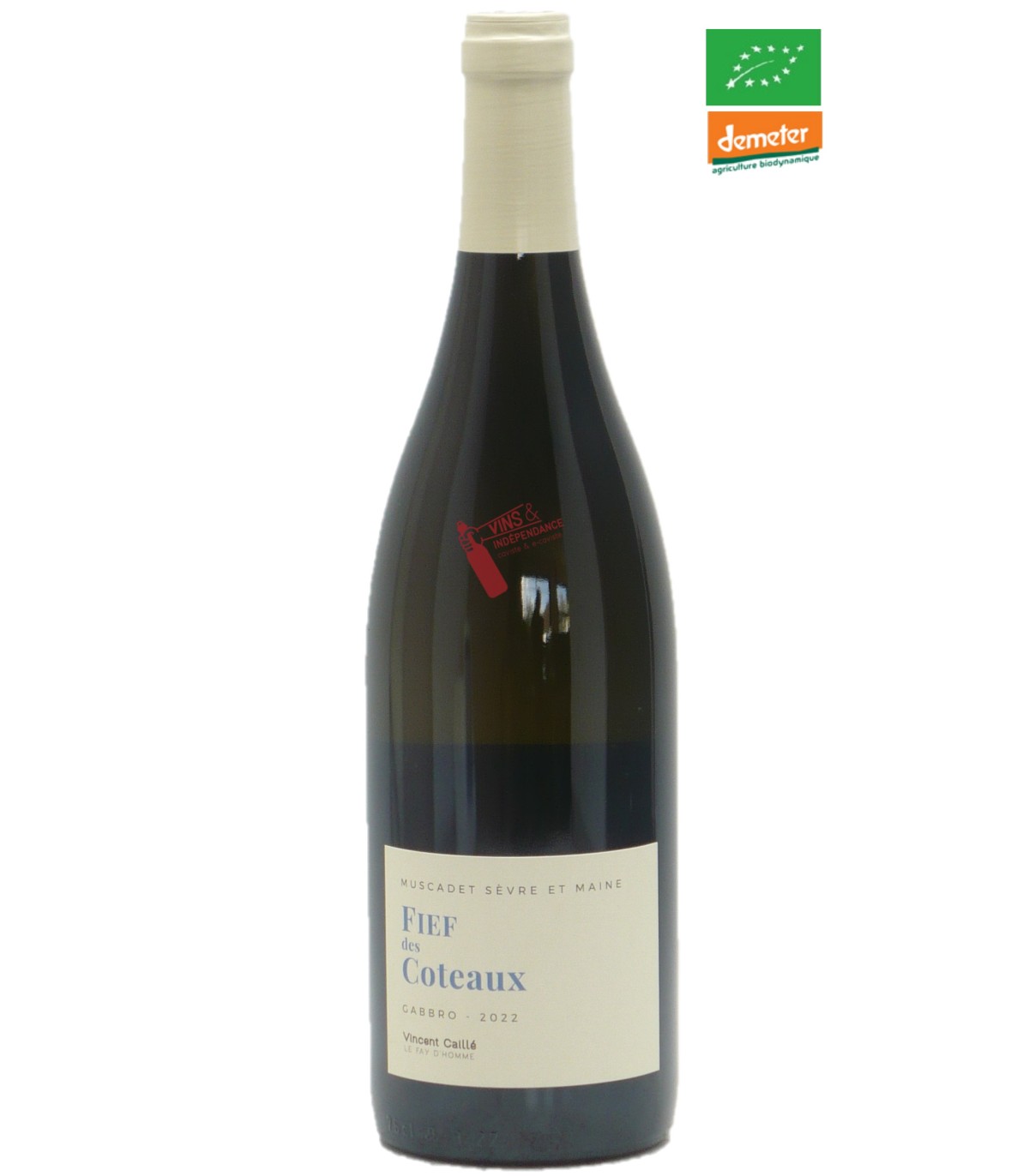 Domaine le Fay d'Homme (Vincent Caillé) Muscadet S et M sur Lie