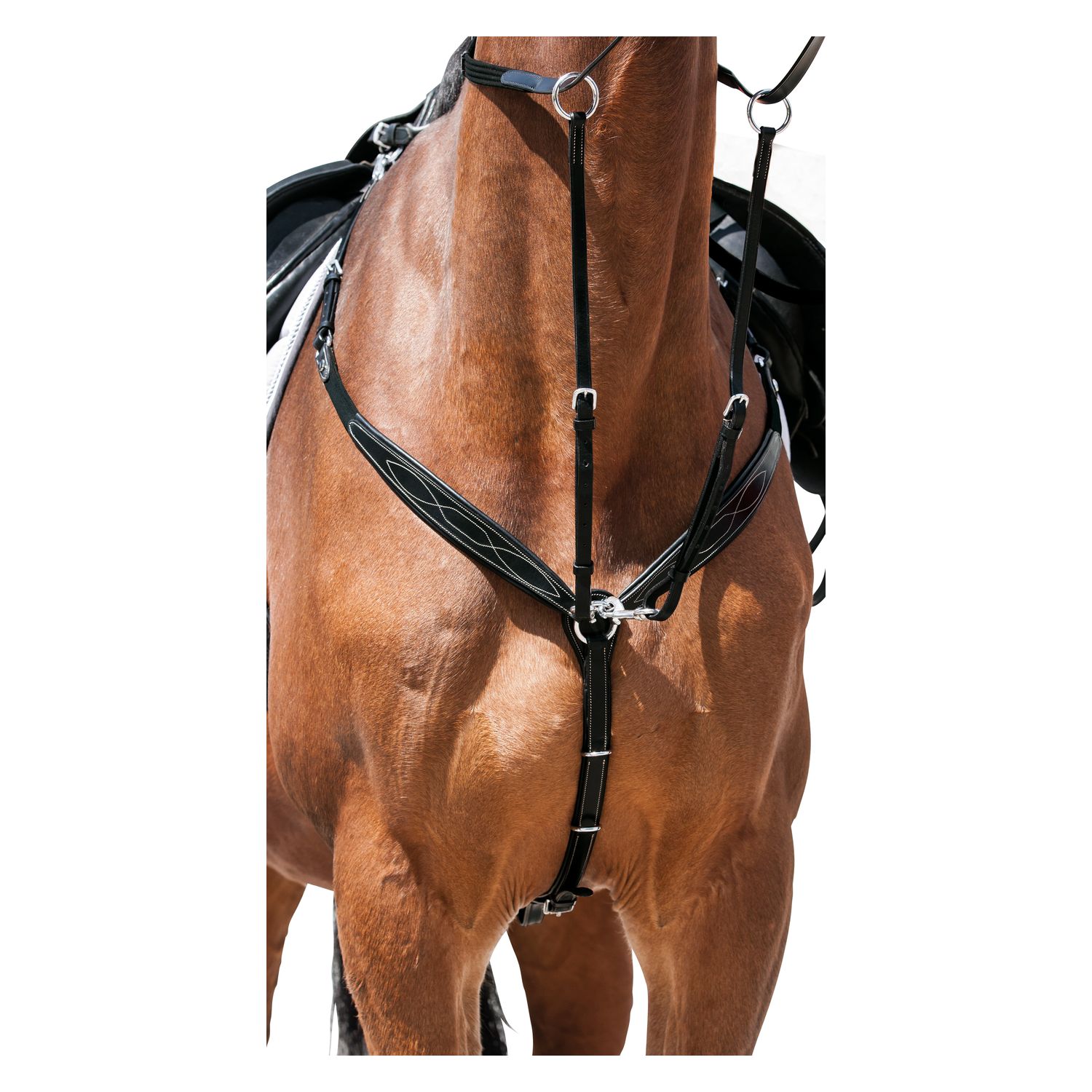 Loesdau Vorderzeug Elegance  - schwarz - Warmblut