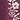 Gilet met broderie opdruk Bordeaux