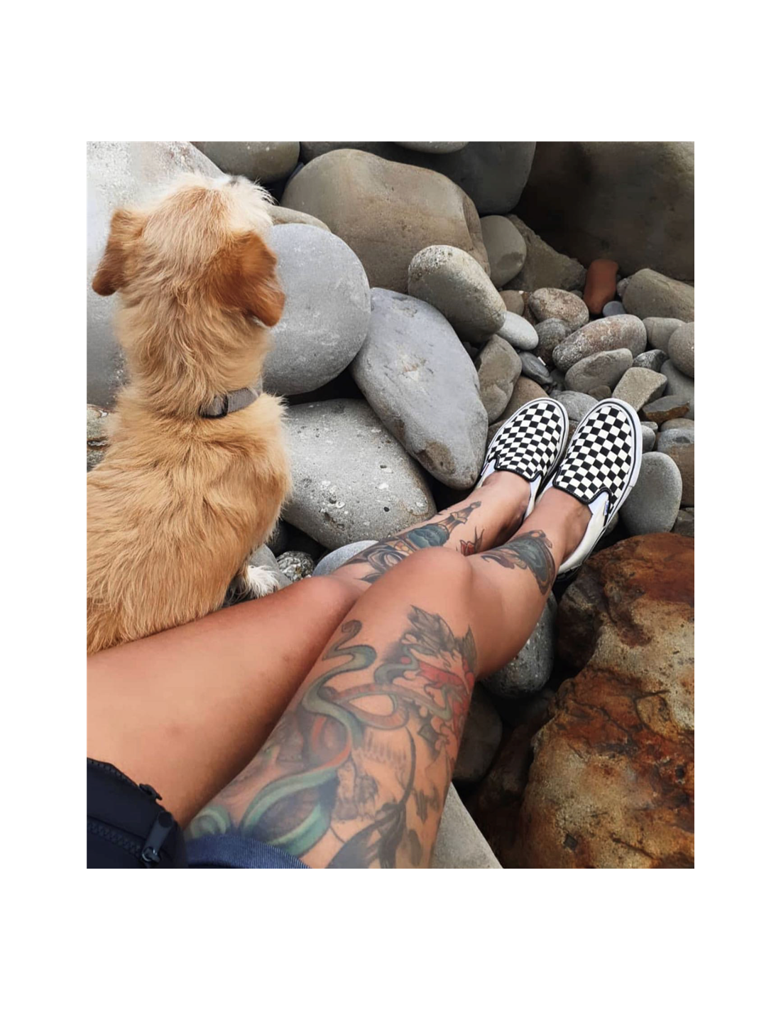 vans Sneakers mixte ua classic slip-on noir/blanche