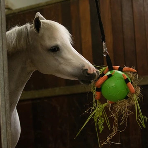 Maximus Fun Play Ball voor Paarden