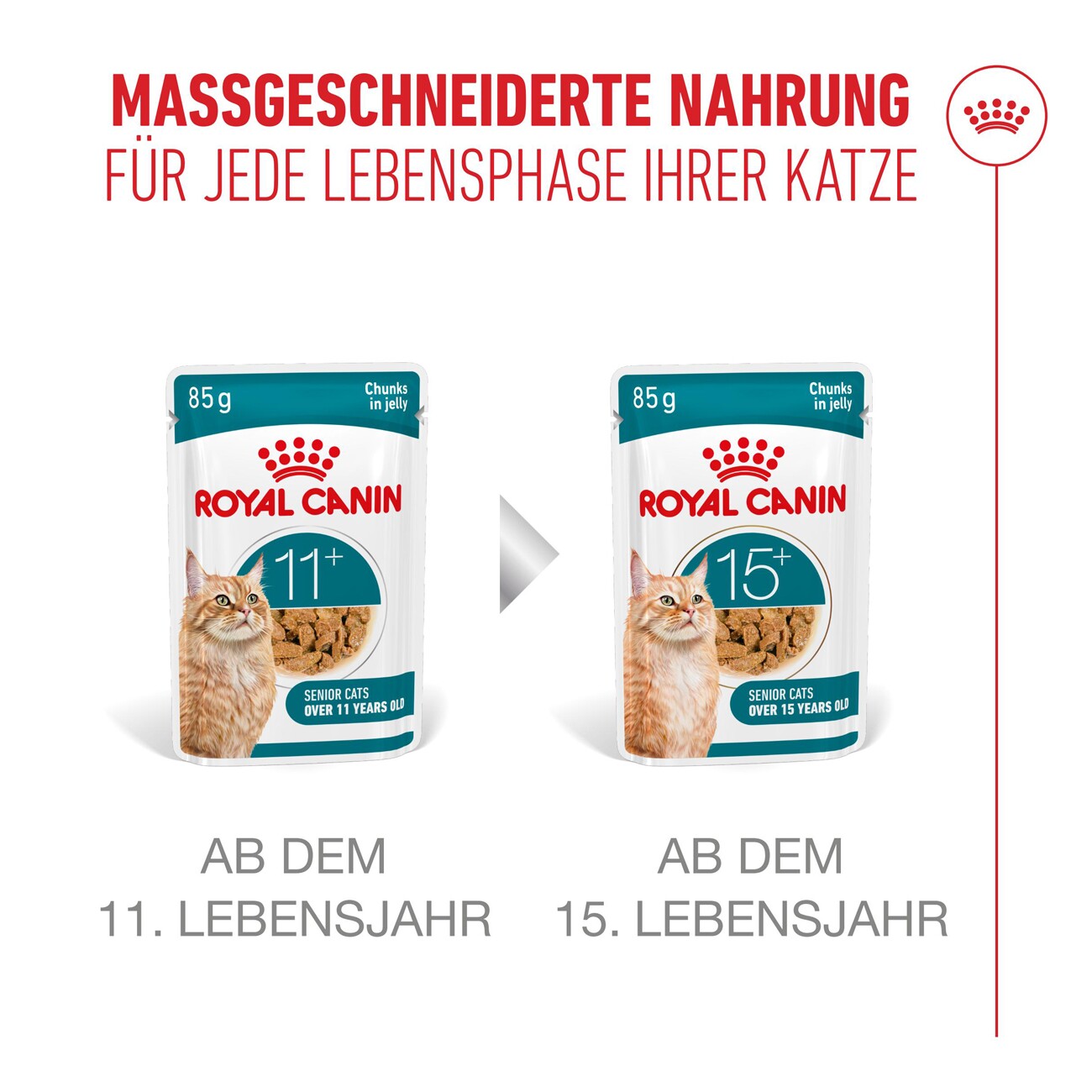 ROYAL CANIN Nassfutter Katze, Senior Ageing 11+, Gelee 12x85 g
