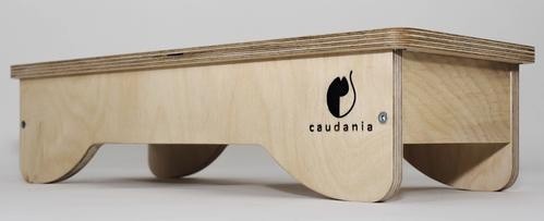 Alimentador automático para gatos Caudania? Até logo?