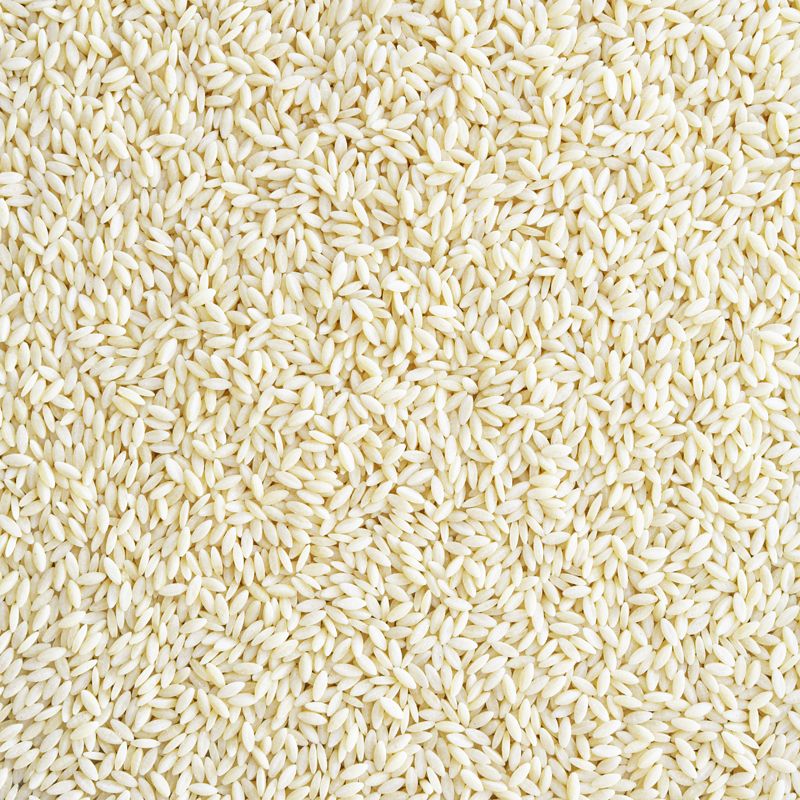 Orzo (bio)