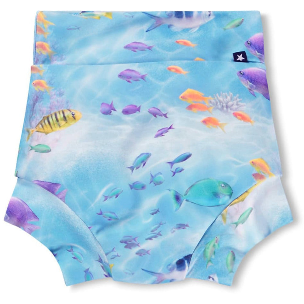 Køb Molo Rainbow Sea Nick Badeshorts