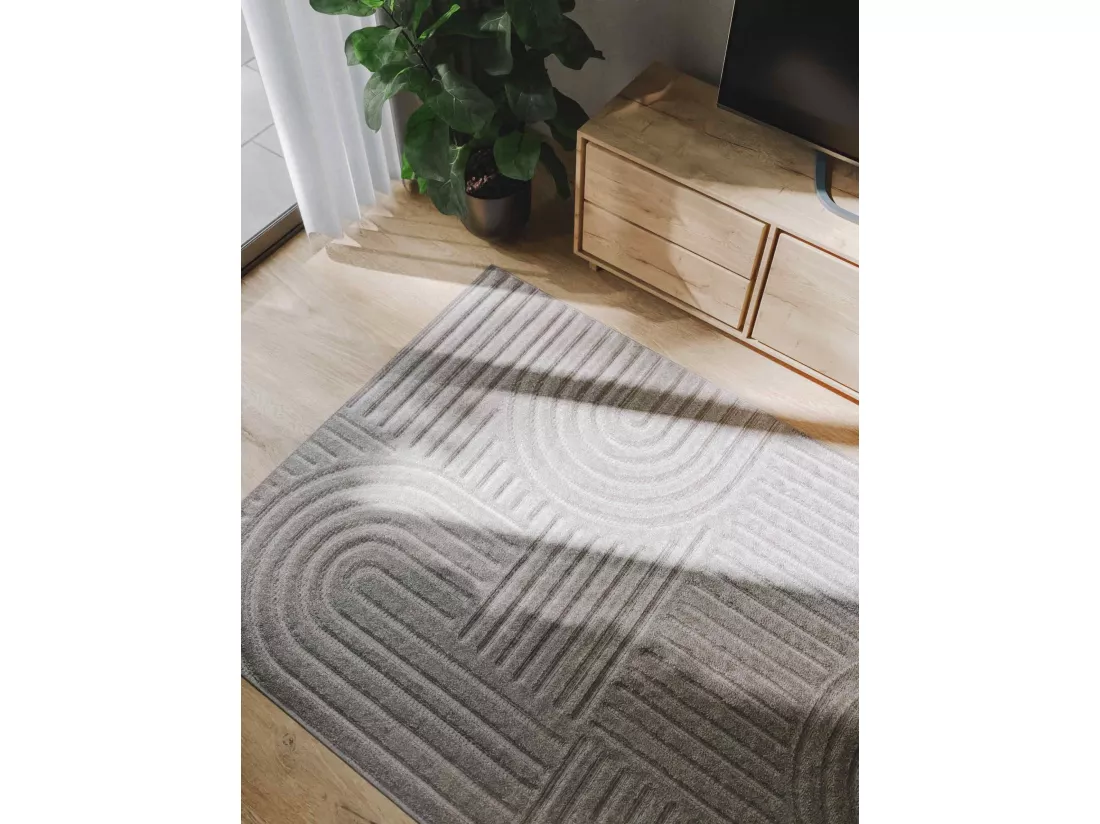 Tapis Leo Gris clair 120x170 cm