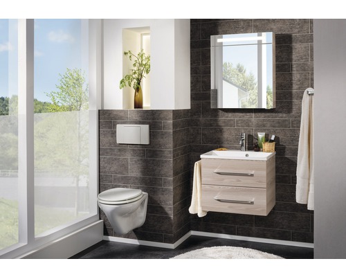 FACKELMANN B.clever spiegelkast 60 x 16 x 71 cm Alaska essen 1-deurs LED IP 20