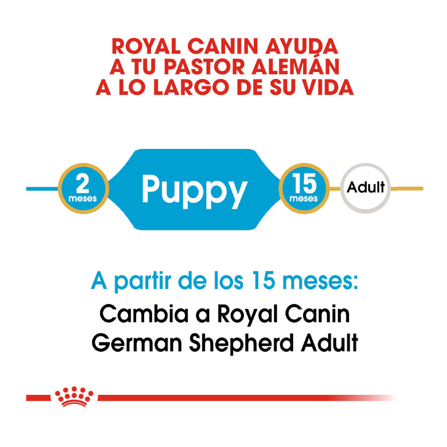Ração Royal Canin para filhotes de Pastor Alemão