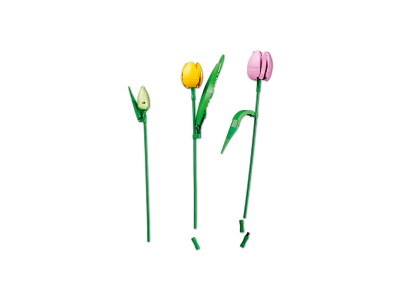 LEGO Boeket met tulpen (11501)