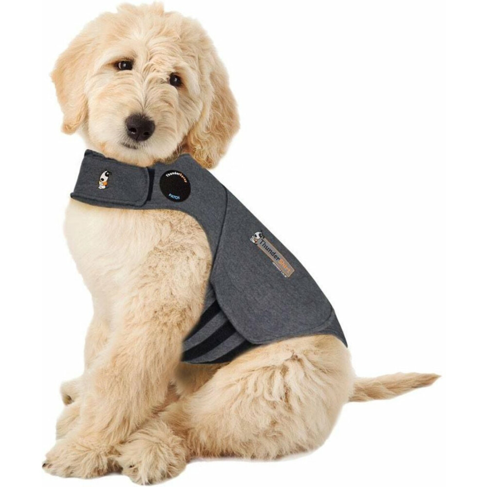 Thundershirt Hond Large >18 - 29 kg