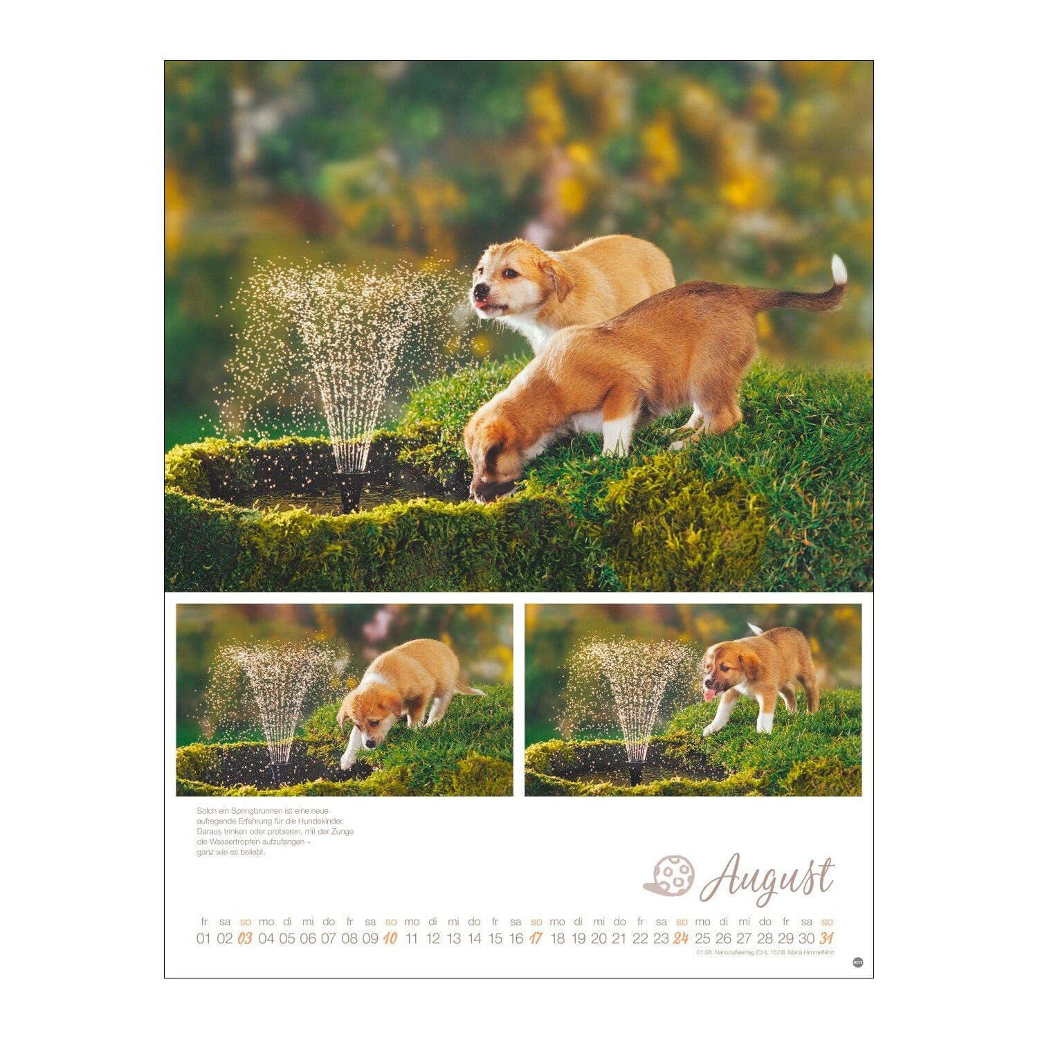 Posterkalender Hundekinder 2025