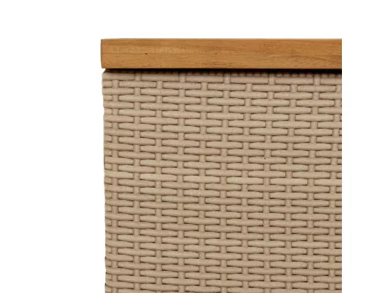 Prolenta Premium - Boîte de rangement de jardin beige résine tressée bois d'acacia