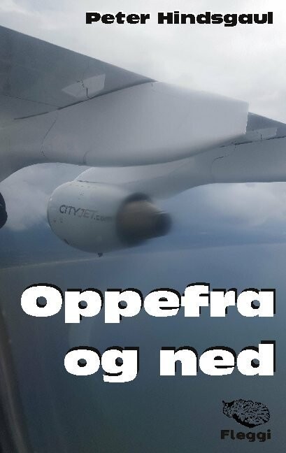 Oppefra Og Ned - Peter Hindsgaul - Bog