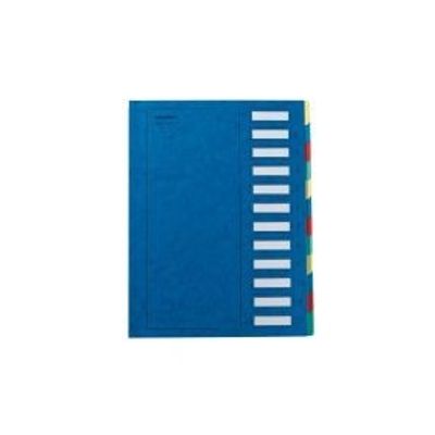 Extendos - Trieur à fenêtres 12 positions - bleu