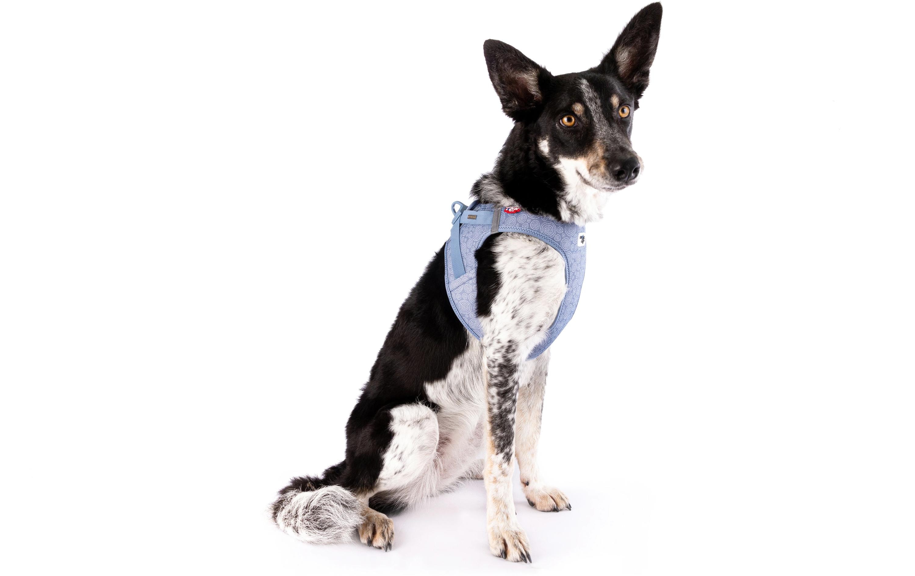 Geschirr Vest Air-Mesh 2XS SE24, Elemental-BlueDas verstellbare Brustgeschirr mit Schnalle
