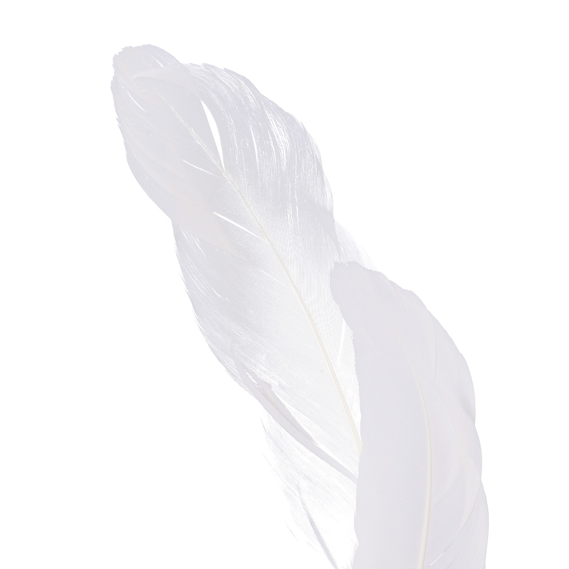 Topolino Indianer Stirnband mit Federn beige