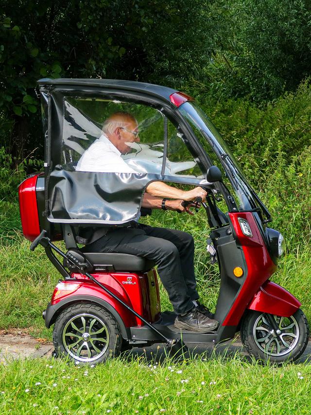 Kabinenroller 15 mit dem Dach und Wetterschutz, 1000 W, 15 km/h