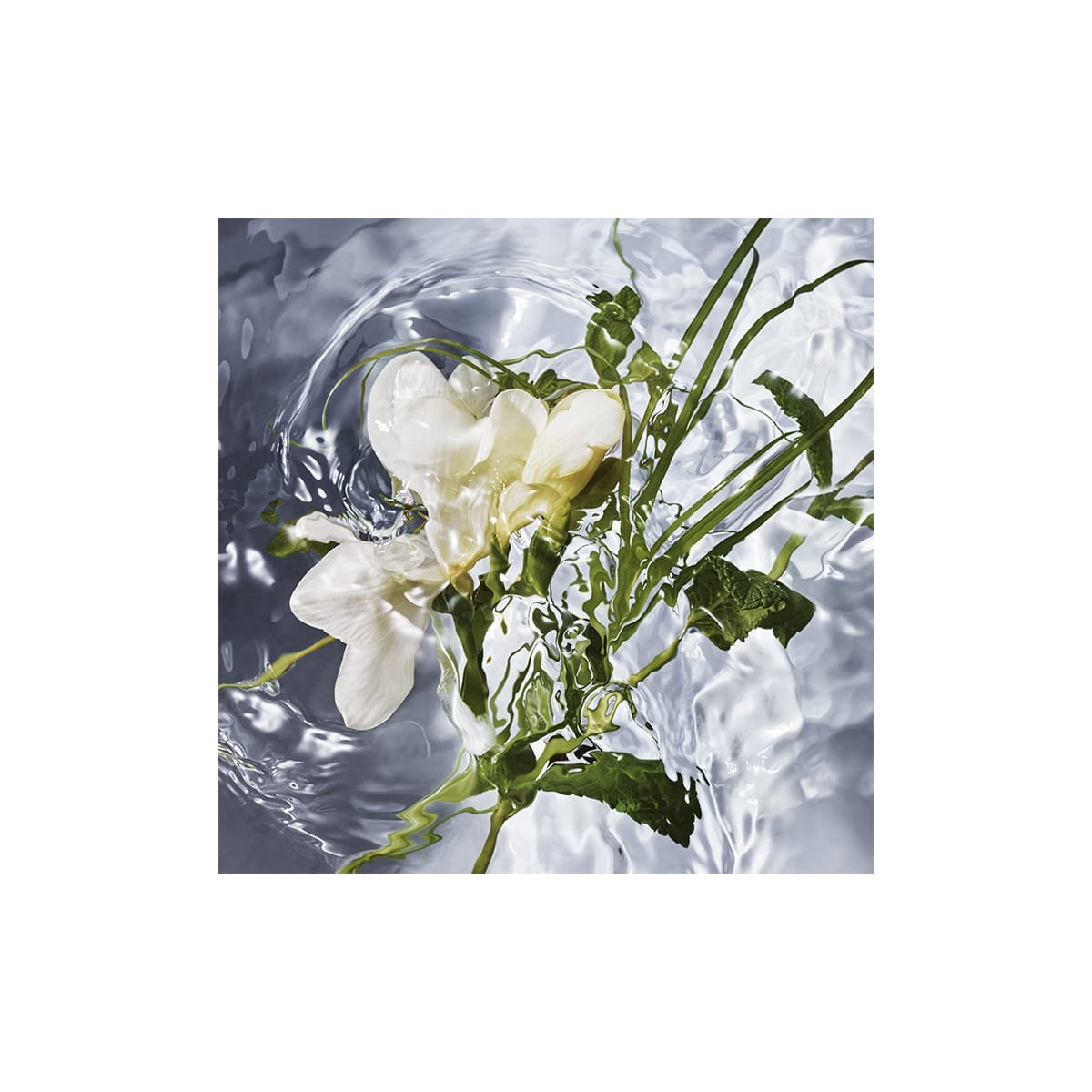 GUERLAIN Aqua Allegoria Herba Fresca Eau de Toilette