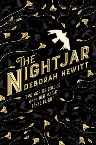 The Nightjar - The Nightjar (Paperback)