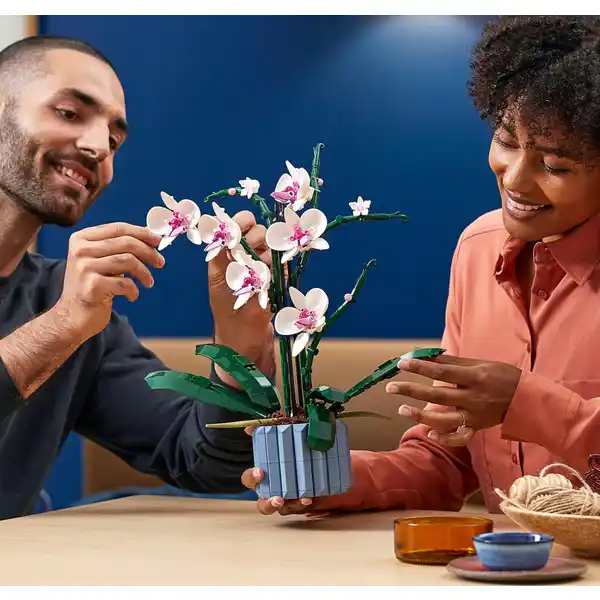 10311 Orchidee