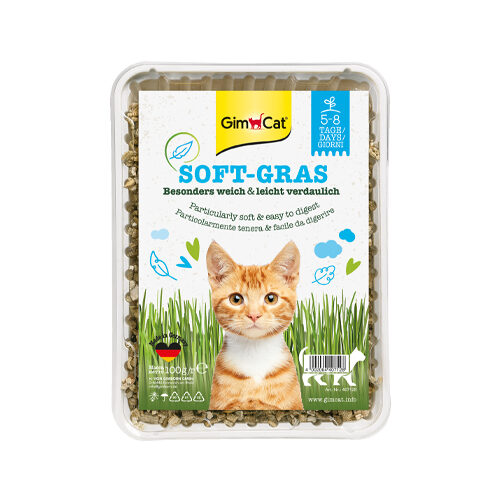 GimCat Kattengras
