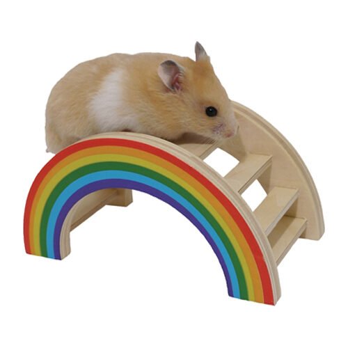 Rosewood Regenboog Speelbrug
