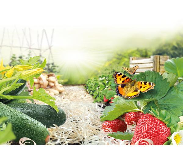 Ziegler Pro Natur® Erdbeer- & Gemüsewolle,