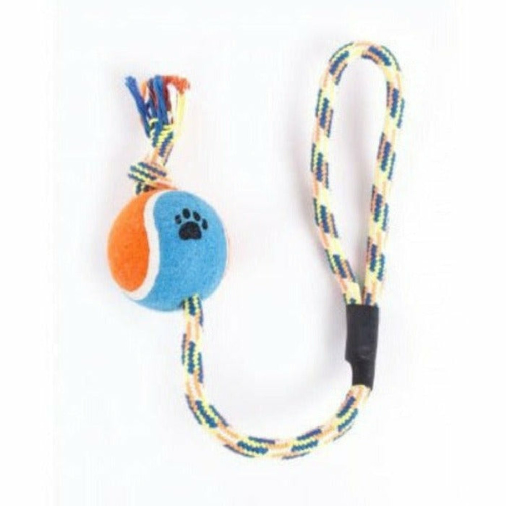 Lot de 4 balles de tennis avec corde pour chiens - coloris suivant disponibilité