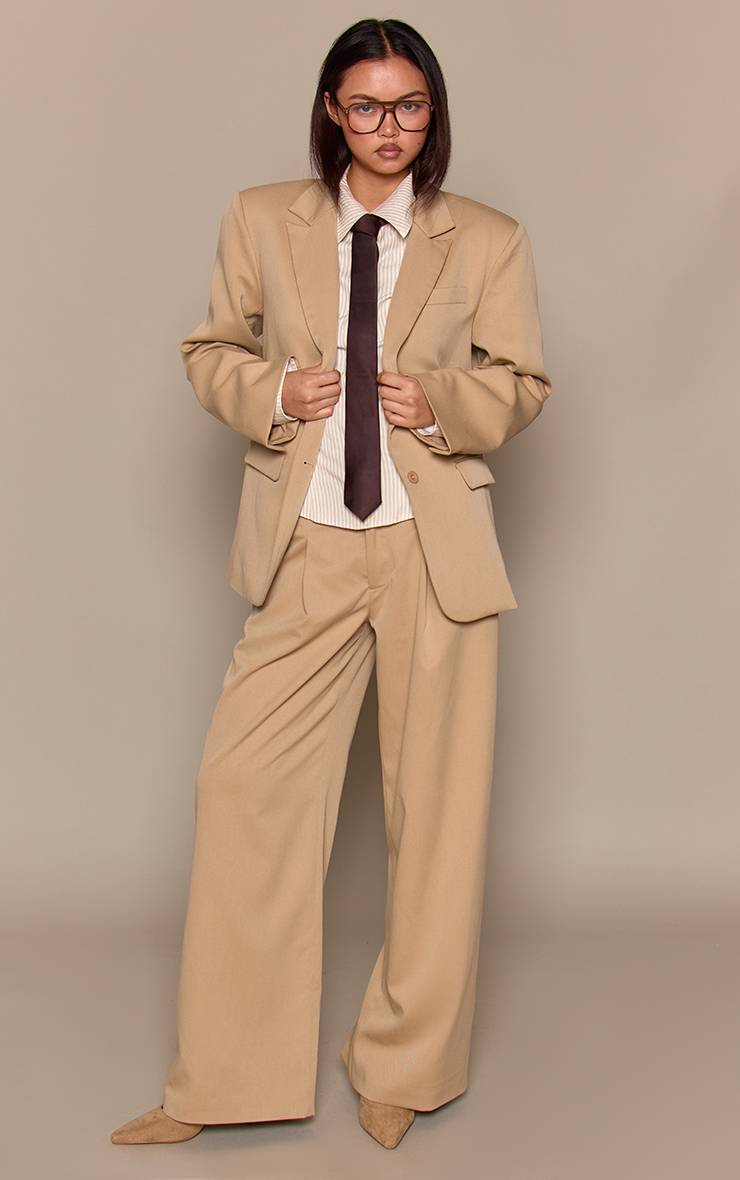 Pantalon Large Plissé En Tissu Tissé Ajusté Couleur Pierre