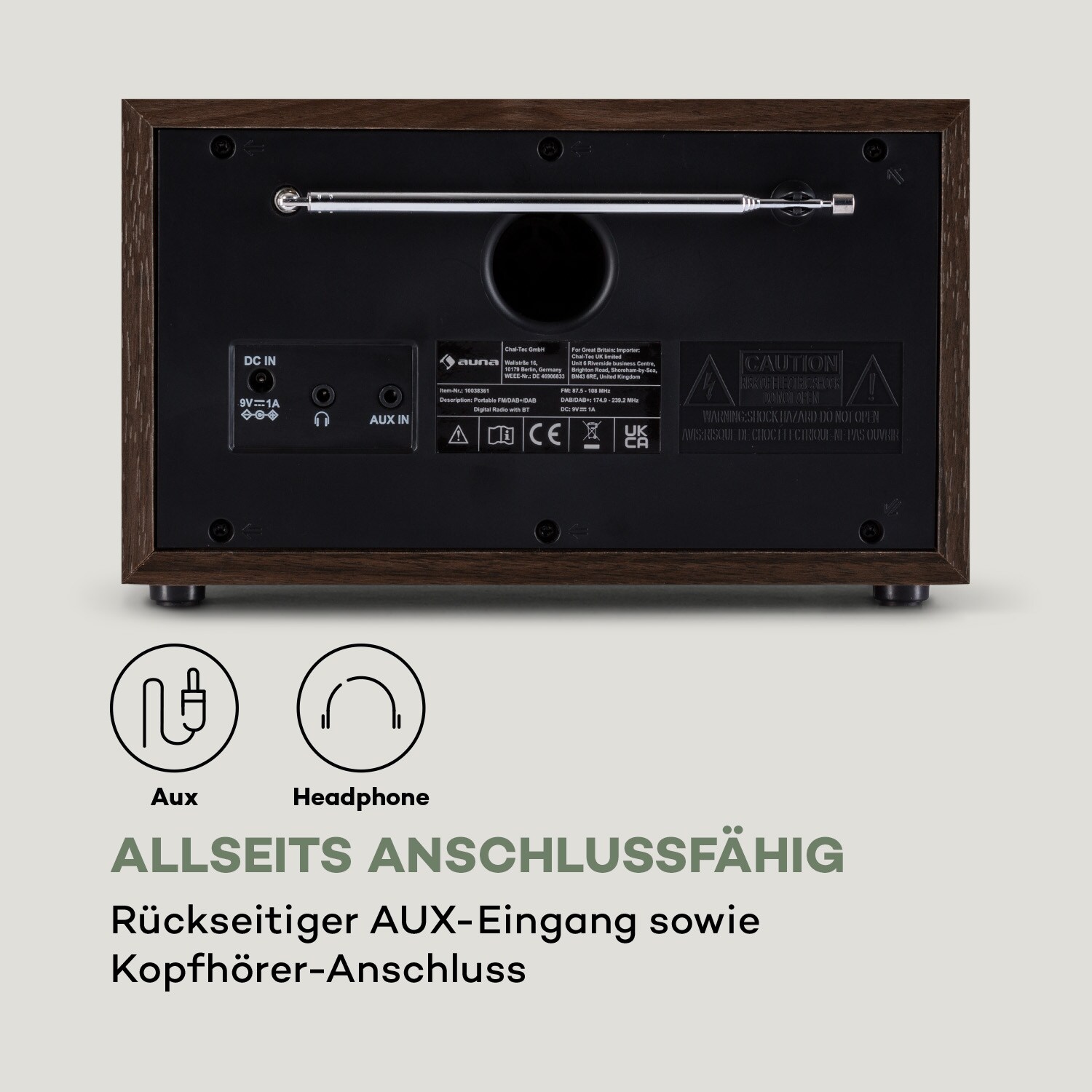 Ambient DAB+/FM Radio BT 5.0 AUX-In LC-Display Wecker Eieruhr Holz